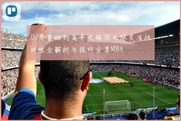 从零基础到高手之路羽毛球灵活性训练全解析与技巧分享MBA
