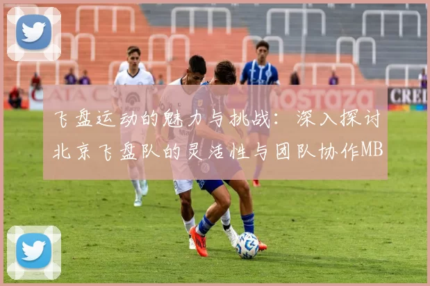 飞盘运动的魅力与挑战：深入探讨北京飞盘队的灵活性与团队协作MBA