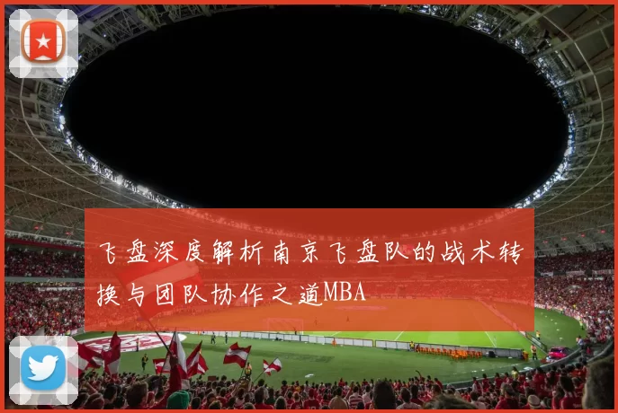 飞盘深度解析南京飞盘队的战术转换与团队协作之道MBA