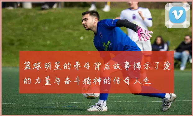 篮球明星的养母背后故事揭示了爱的力量与奋斗精神的传奇人生