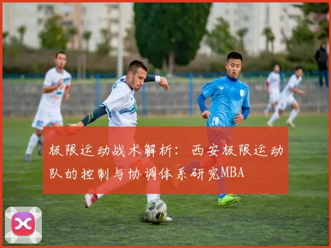 极限运动战术解析：西安极限运动队的控制与协调体系研究MBA