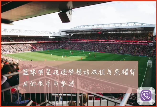 篮球明星追逐梦想的旅程与荣耀背后的艰辛与坚持